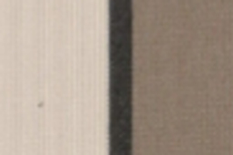 D100