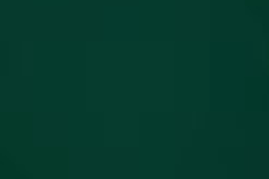 A01